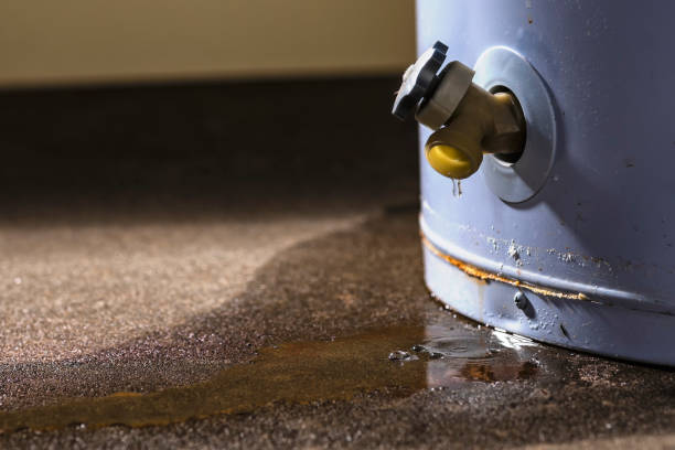 Best Local water damage restoration  in San Bernardino, CA
