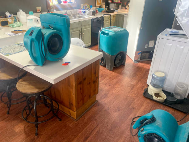 Best Water damage restoration near me  in San Bernardino, CA