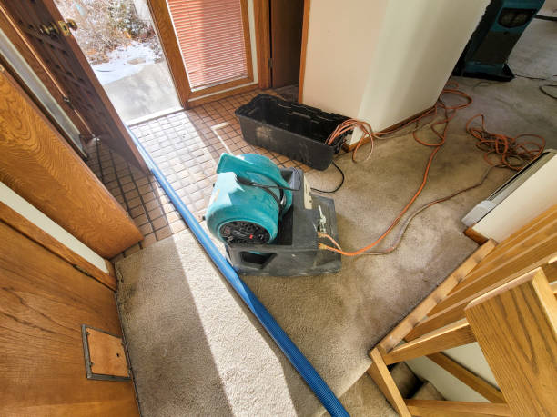 Best Flooded house restoration  in San Bernardino, CA