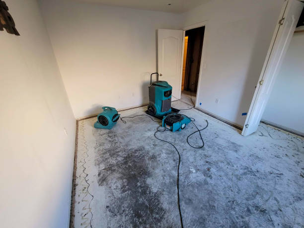 Best Commercial water damage restoration  in San Bernardino, CA