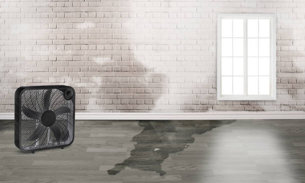 Best Ceiling water damage repair  in San Bernardino, CA