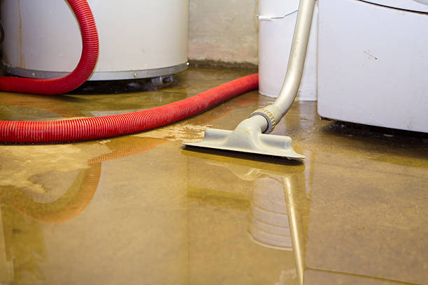 Best 24/7 water damage repair  in San Bernardino, CA