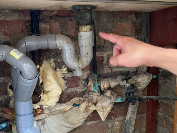 Best Flood restoration services  in San Bernardino, CA