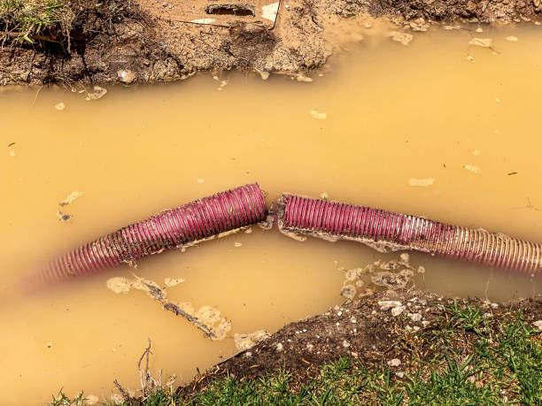San Bernardino, CA Water damage restoration Company